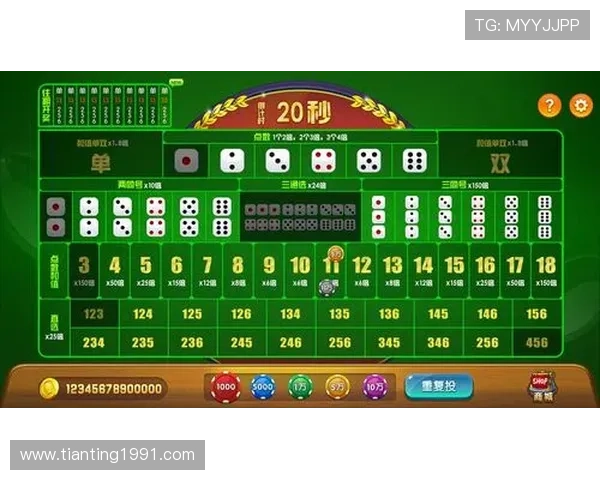 探索发发赌场：安全可靠的线上博彩新体验